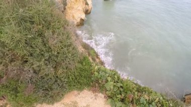 vahşi algarve kıyısında