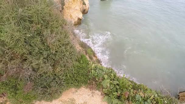 Wilde Algarve-Küste — Stockvideo