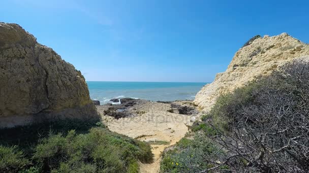 Praia do evaristo beach — Stok video