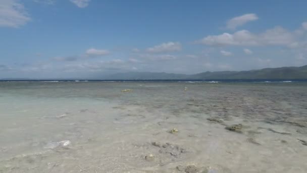 Geweldige Caribische strand — Stockvideo