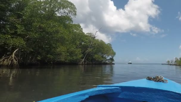 驚くべきドミニカ共和国 — ストック動画