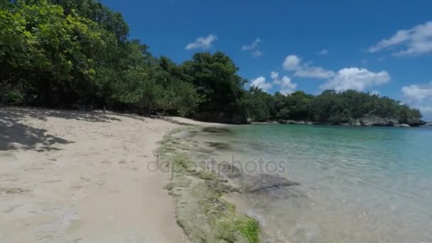 Hermosa playa caribeña — Vídeo de stock