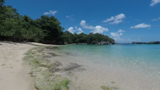 Hermosa playa caribeña — Vídeo de stock