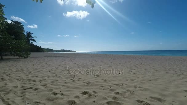 Tropikalnej plaży playa grande — Wideo stockowe