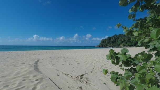 Tropický ráj ostrova — Stock video