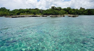 tropikal Karayipler beach