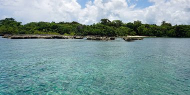 tropikal Karayipler beach