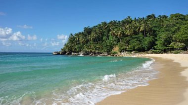 tropikal Karayipler beach