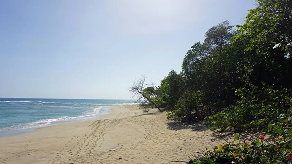 Tropische schuilplaats strand — Stockfoto