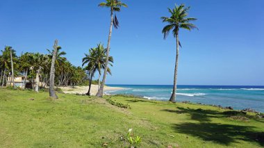 tropikal hideaway beach