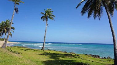 tropikal hideaway beach