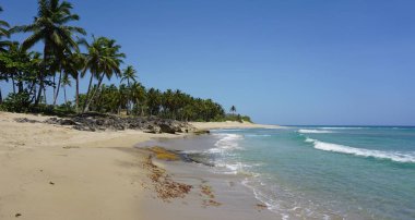 tropikal hideaway beach