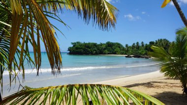 tropikal Karayipler beach