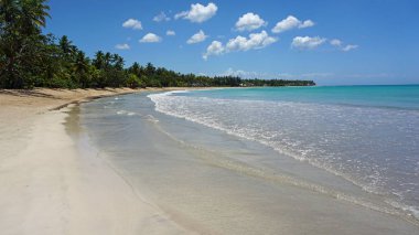 tropikal Dominik Cumhuriyeti sahil