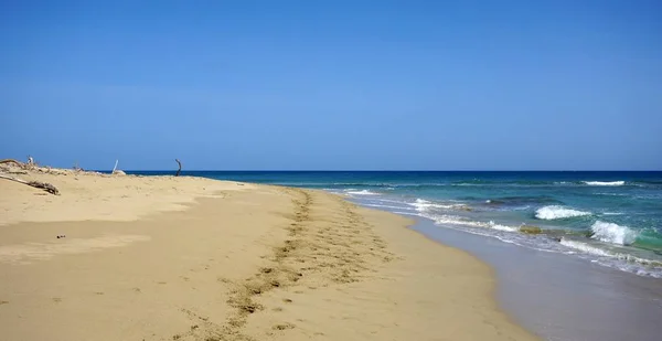 Praia tropical do Caribe — Fotografia de Stock