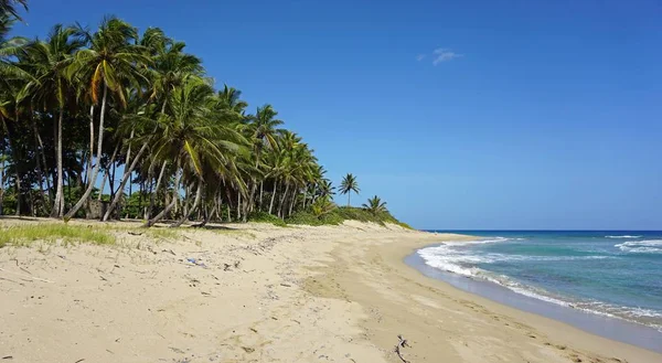 Tropical hideaway beach — стоковое фото