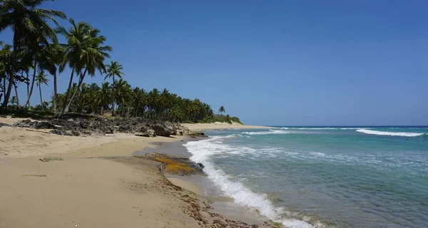 Plaża Tropikalne Ustronie — Zdjęcie stockowe