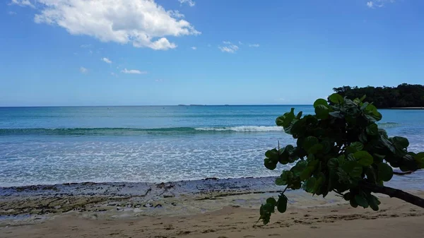 Tropické karibské pláži — Stock fotografie
