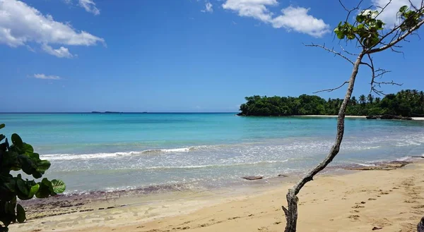 Playa tropical del Caribe —  Fotos de Stock