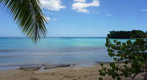 Playa tropical del Caribe — Foto de Stock