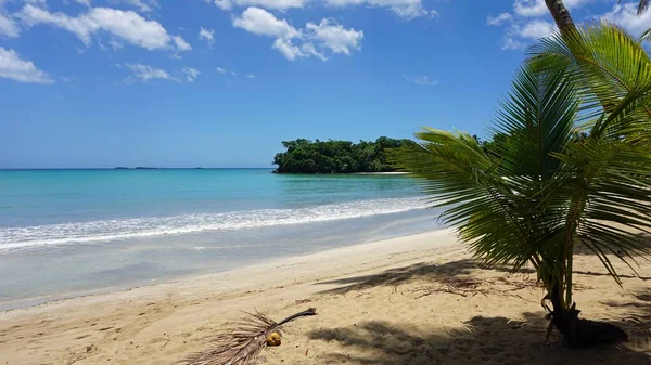 Tropikal Karayipler beach — Stok fotoğraf