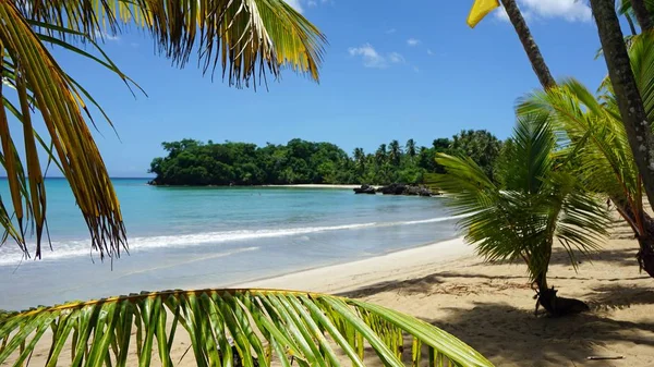 Tropikal Karayipler beach — Stok fotoğraf