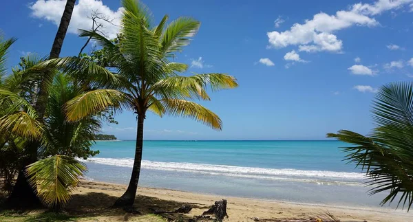 República Dominicana tropical costa — Foto de Stock