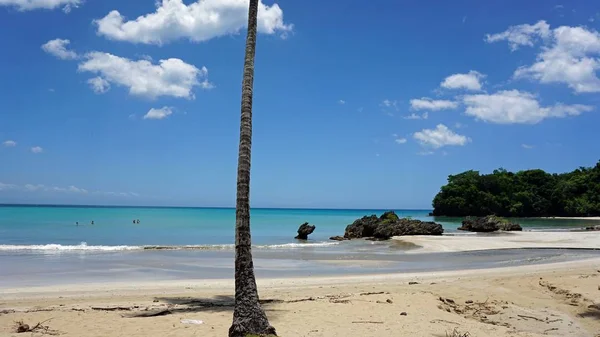 Побережье тропической Доминиканской республики — стоковое фото