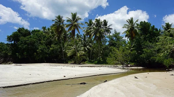 热带多米尼加共和国海岸 — 图库照片