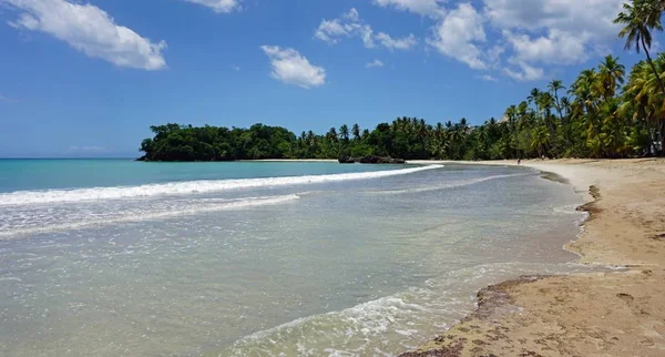 Tropical dominican republic coast — Stock Photo, Image