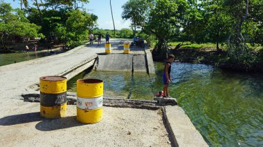 tropikal Dominik Cumhuriyeti