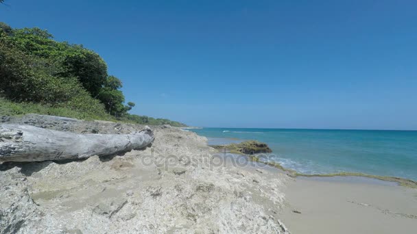 A República Dominicana — Vídeo de Stock