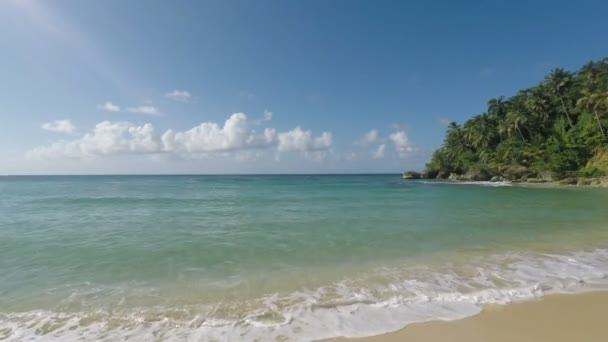Playa natural caribeña — Vídeo de stock