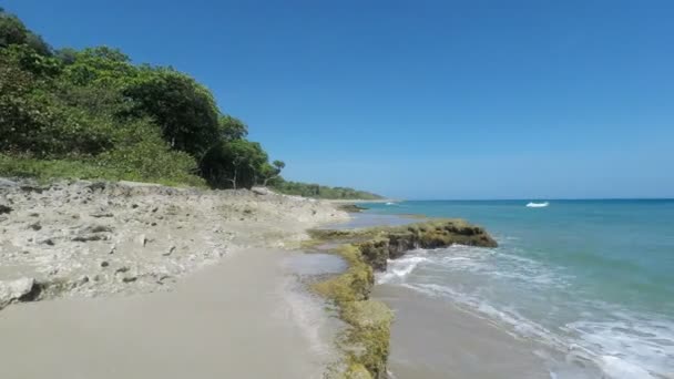Природный карибский пляж — стоковое видео