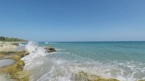 Plage naturelle des Caraïbes 