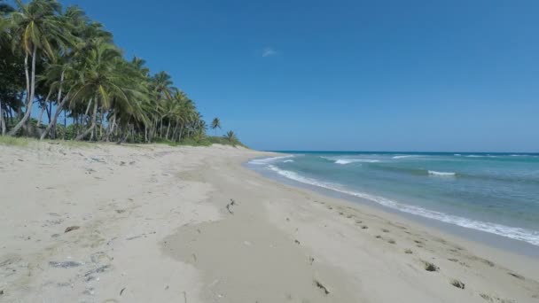 Пляж Playa grande — стоковое видео