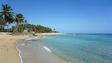 tropikal hideaway beach