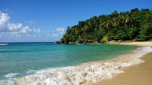 República dominicana tropical — Fotografia de Stock