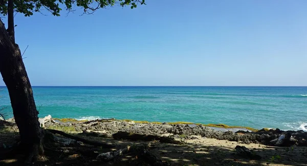 República Dominicana tropical — Foto de Stock