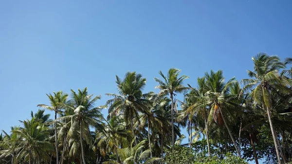 Playa escondite tropical — Foto de Stock