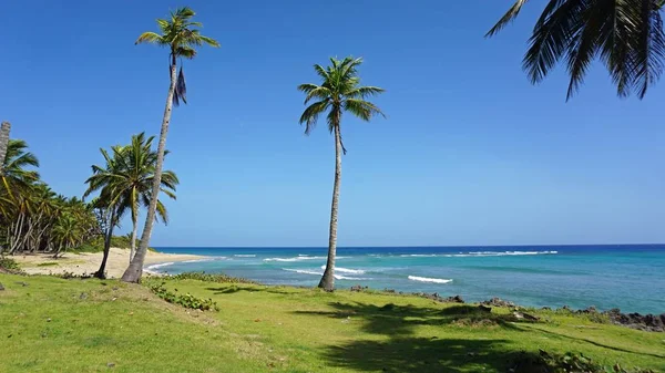 Playa escondite tropical — Foto de Stock