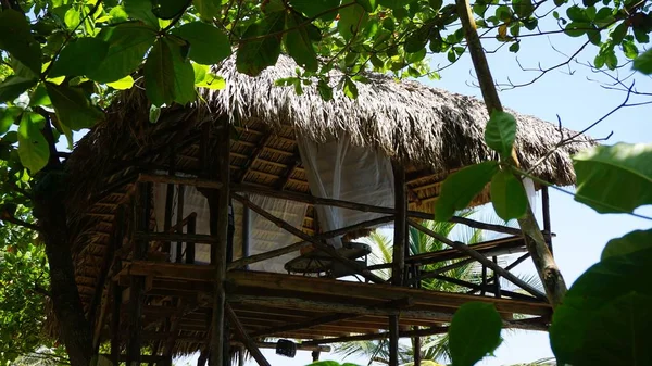 Tropisch strand hut — Stockfoto