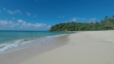 muhteşem tropik sahil