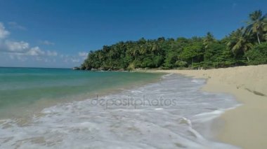 muhteşem tropik sahil