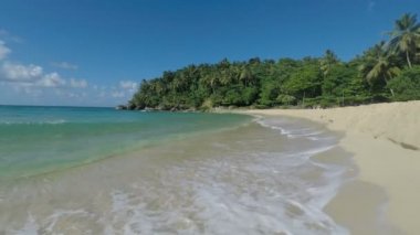 muhteşem tropik sahil