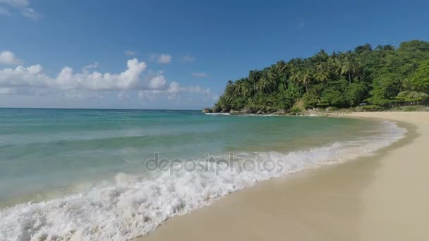 Verbazingwekkende tropisch strand — Stockvideo