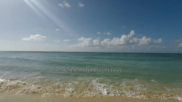 Meravigliosa spiaggia di caraibi — Video Stock