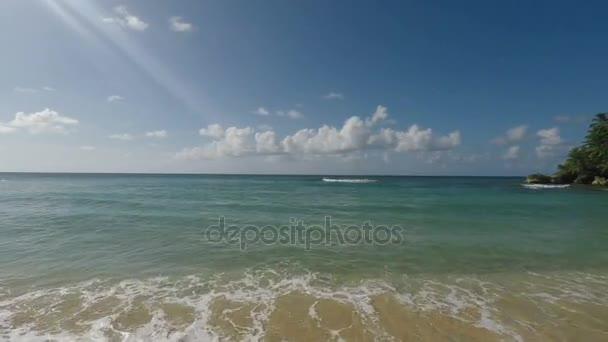 Wunderschöner karibischer Strand — Stockvideo