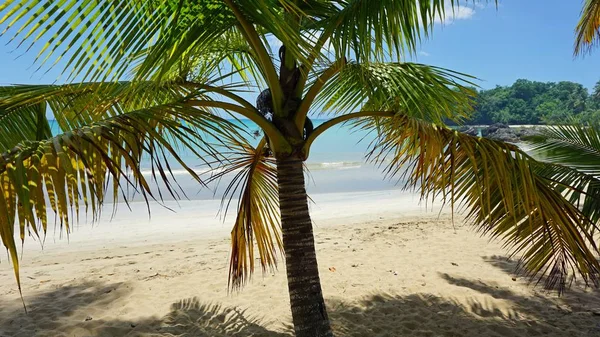 ドミニカ共和国 — ストック写真