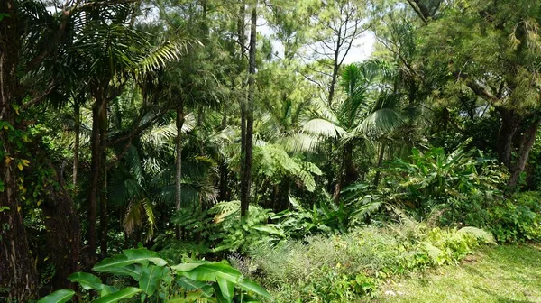 La République dominicaine — Photo